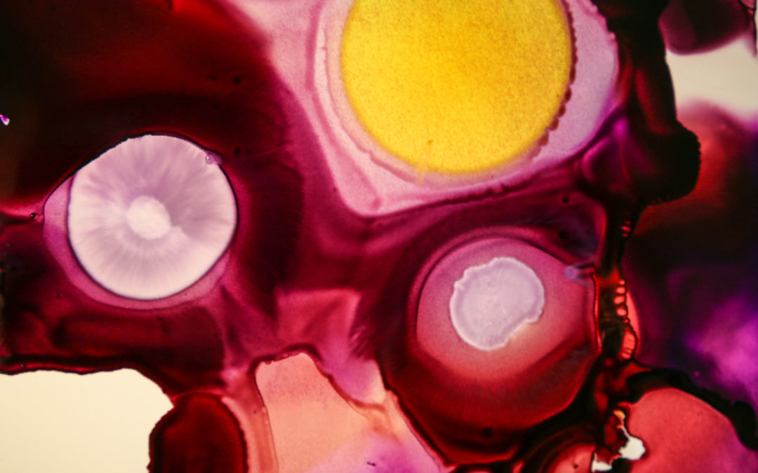 burning ships, alcohol inks, math as discovery